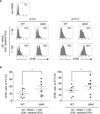 Lipoteichoic acid of Streptococcus gordonii as a negative regulator of human dendritic cell activation